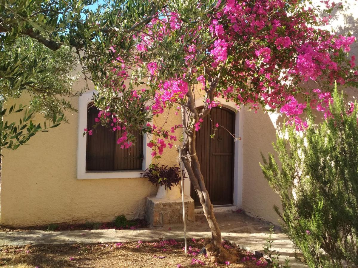 Porto Heli Apartments Palekastro Exterior foto