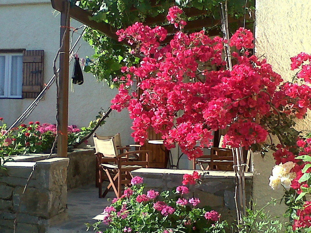 Porto Heli Apartments Palekastro Exterior foto